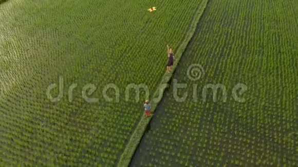一家人用风筝在美丽的大稻田上的空中拍摄亚洲概念旅行视频的预览图