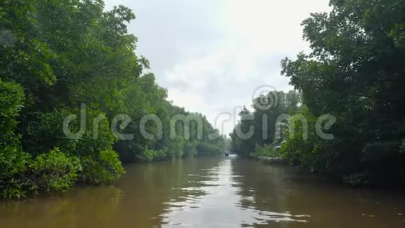 斯里兰卡阳光明媚的一天在热带丛林森林的狭窄河流上航行4k段视频的预览图