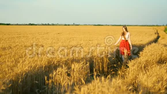 夕阳下穿着红裙的金发女孩走过一片成熟的麦田视频的预览图