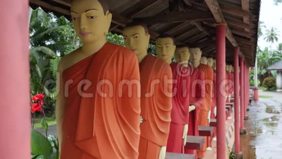 4k多利在斯里兰卡的佛寺中连续站立的佛像视频视频的预览图