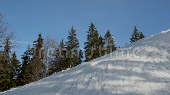 穿绿色夹克的男孩从高高的雪山上滑下来冬日阳光明媚蓝天和云杉背景视频的预览图