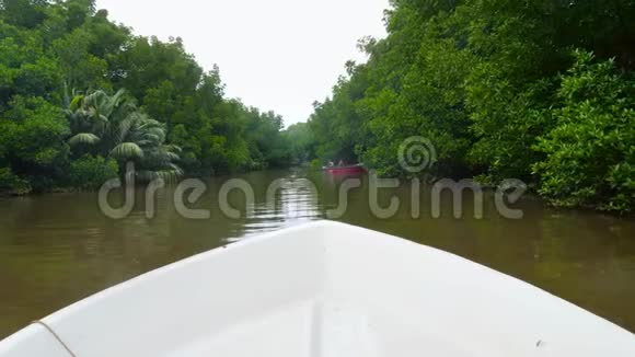热带角红树林汽艇航行4k视频视频的预览图
