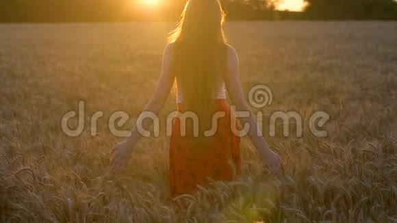 留着长发的女孩走在麦田里走向日落视频的预览图