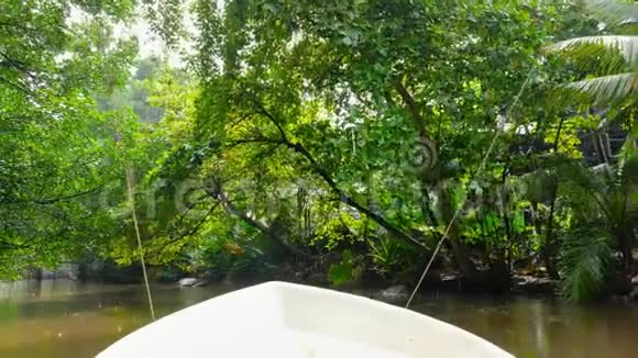 4k视频摩托艇在热带雨林中的小河上航行在大树下弯曲的水面视频的预览图