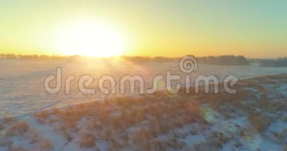 无人驾驶飞机观看寒冷的冬季景观北极的田野覆盖着霜雪的树木和清晨的阳光视频的预览图