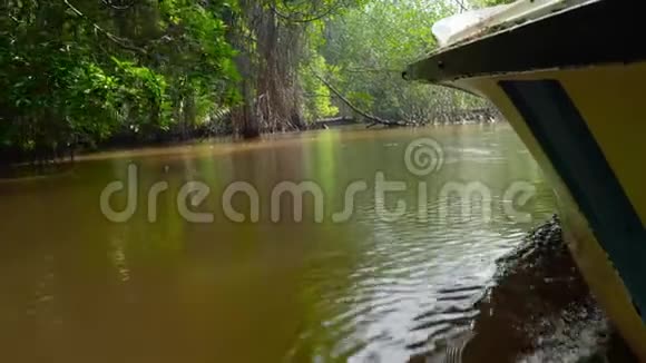 丛林热带雨林中热带河上摩托艇航行录像视频的预览图