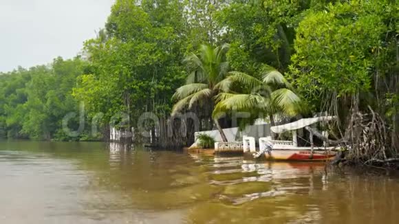 在热带雨林的河边木墩停泊的旧摩托艇4k视频视频的预览图