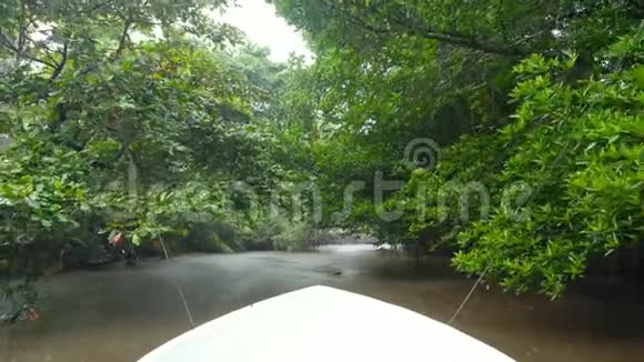 在丛林中下雨时驾驶摩托艇在红树林航行的4k视频视频的预览图