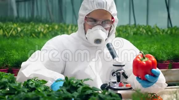 绿色工人用化学液体填充红辣椒视频的预览图