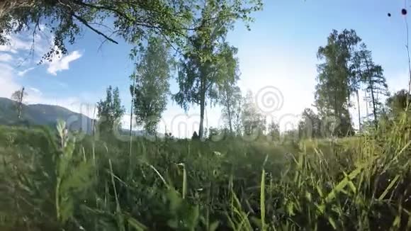 阳光明媚的乡村草地在山上有绿草树木和阳光运动滑块对角线运动视频的预览图
