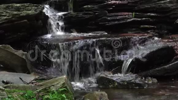 森林中的小瀑布在忧郁的灯光下视频的预览图