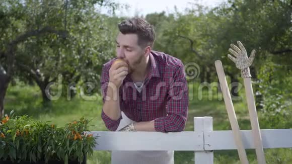 疲惫的年轻农民在花园手套吃美味的苹果站在夏天的花园里竖起大拇指那个人视频的预览图