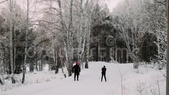 冬季滑雪滑雪冬天从山上滑雪视频的预览图