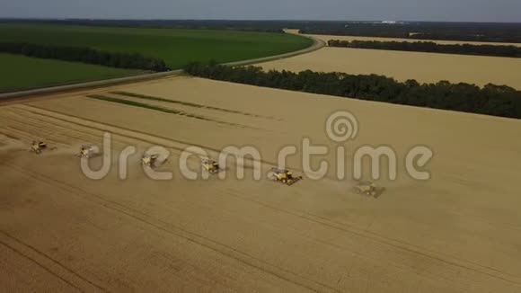 农业录像显示8个收割机正在收集收割的小麦颗粒无人机飞回来显示宽角4K视频的预览图