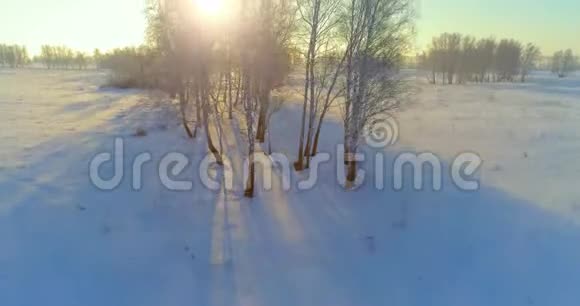 无人驾驶飞机观看寒冷的冬季景观北极的田野覆盖着霜雪的树木和清晨的阳光视频的预览图