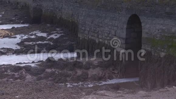 水从石墙流入泥泞的地形视频的预览图