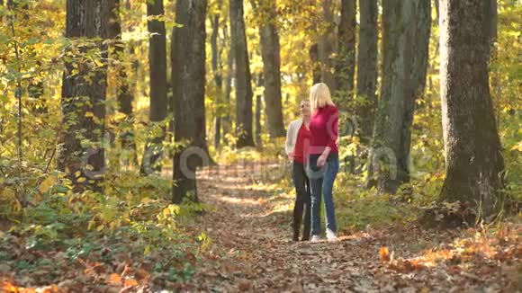 两个漂亮的女孩在秋天公园散步微笑的女孩越过秋天的自然背景在秋天的公园里玩视频的预览图