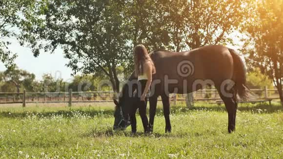 马在女孩旁边的草地上吃草视频的预览图