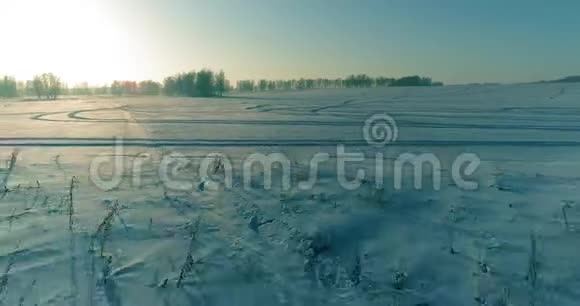 无人驾驶飞机观看寒冷的冬季景观北极的田野覆盖着霜雪的树木和清晨的阳光视频的预览图