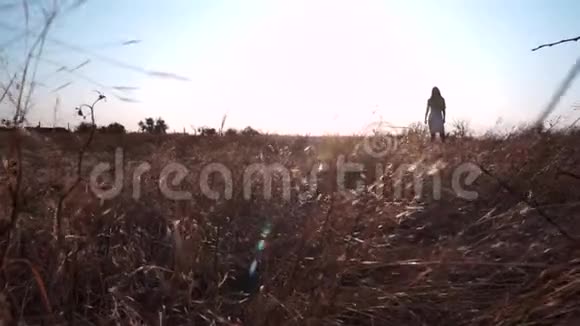 一个女孩站在干燥的小麦小穗草白色的天空视频的预览图