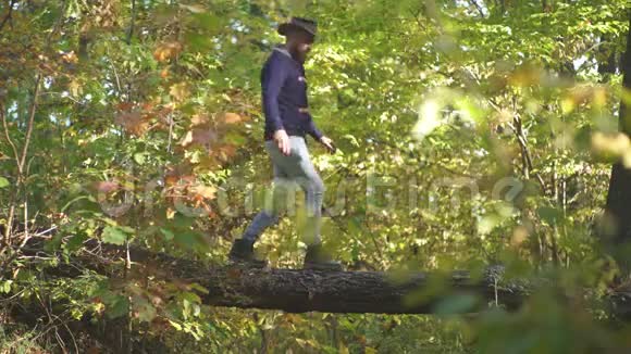 人在公园里爬树英俊的男人秋天的自然背景爬树人秋高气爽的秋人视频的预览图