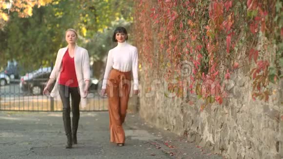 秋装时装两个漂亮的女孩带着秋天的心情散步视频的预览图