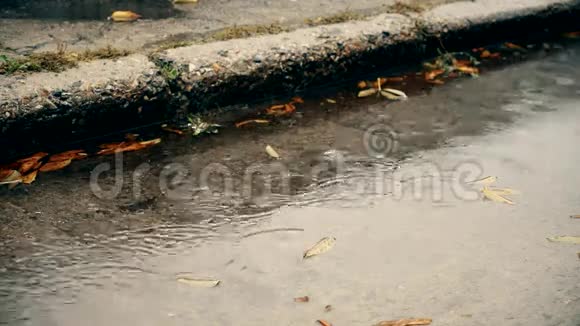 秋天的雨雨水落在有水的混凝土路面上落下黄绿叶视频的预览图