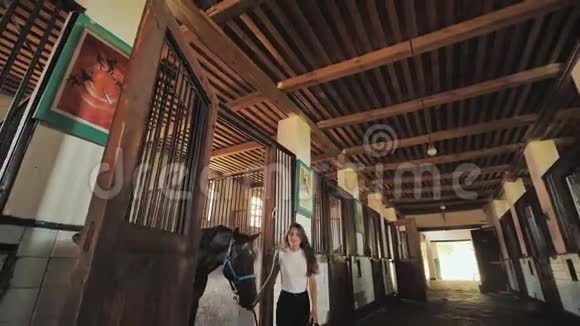 一个年轻的女孩牵着她的马在马厩里视频的预览图