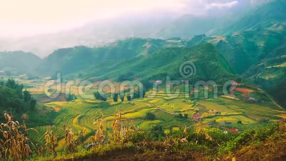 亚洲农场雾蒙迪农业绿地景观4K亚山景观越南绿黄环境生态视频的预览图