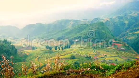 亚洲农场雾蒙迪农业绿地景观4K亚山景观越南绿黄环境生态视频的预览图