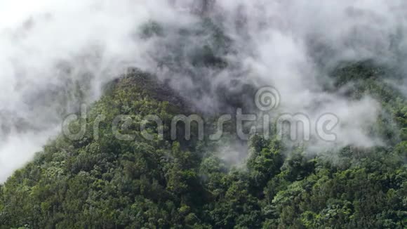 美丽的视频云从山上的山峰流动和飞行在热带雨林在山谷完美的背景或视频的预览图