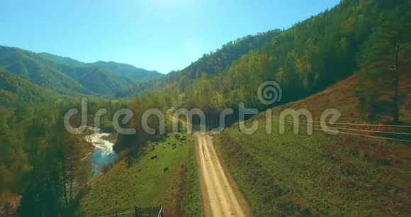 在阳光明媚的夏季早晨低空飞行在带岩石的新鲜快山河上视频的预览图