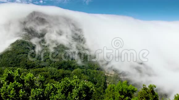 美丽的景色云流下来的山谷从高山高峰与树木森林完美的背景视频的预览图