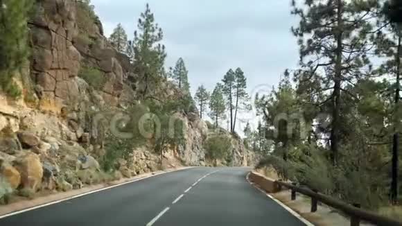 4kPOV视频驾驶汽车在陡峭的道路上在高山上急转弯穿过松林视频的预览图