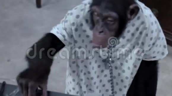 猴子从医院的锁链上挣脱出来视频的预览图
