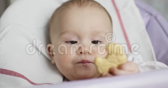 小宝宝吃饼干视频的预览图