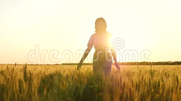 一个穿着裙子的无忧无虑的年轻女子慢悠悠地走过田野用手摸着麦穗享受着视频的预览图