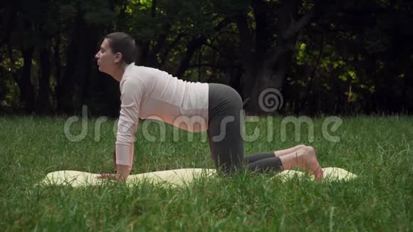 一位孕妇在公园里做瑜伽地毯上膝盖站在Katuspadasana的体式的姿势视频的预览图