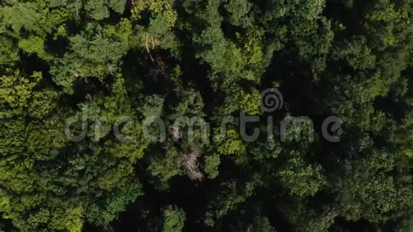 在家里煮饺子在木板上用饺子做面团和面粉视频的预览图