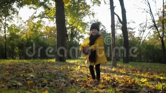 可爱的孩子美丽的小女孩在秋天公园里玩黄叶玩得开心的肖像视频的预览图
