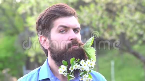 盛开的花园里有一个长着大胡子的人夏天的男人和有趣的时刻花里长胡须有趣的胡子画像视频的预览图