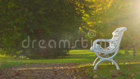 秋天公园里的孤独长凳视频的预览图