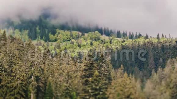 云雾笼罩着松树森林描绘了视频的预览图