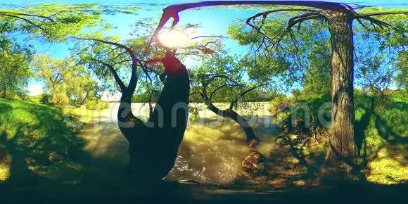 在美丽的山林景观中河流在岩石上流动的虚拟现实视频的预览图