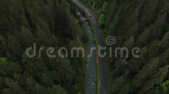 森林中的夏季绿树空中俯视有一条壮丽的山河视频的预览图