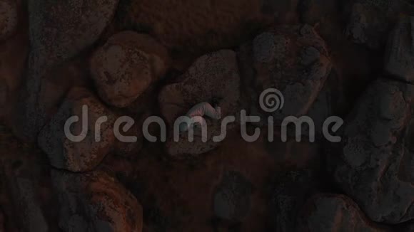 火星上一位孤独宇航员的俯视图宇航员躺在火星表面红色星球上的宇航员视频的预览图