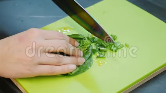 厨师切菠菜女人的手在厨房里切菠菜女性切菜特写健康食品或蔬菜沙拉p视频的预览图