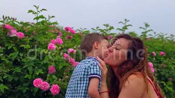 妈妈带着小儿子在玫瑰园视频的预览图