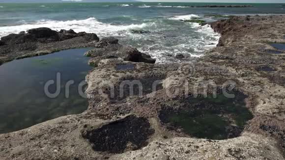 植物园海滩潮汐池4KUHD视频的预览图