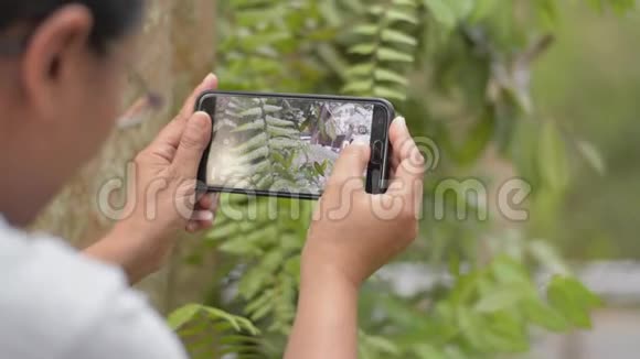 女性植物学家用手机拍摄自然蕨类植物和环境视频的预览图